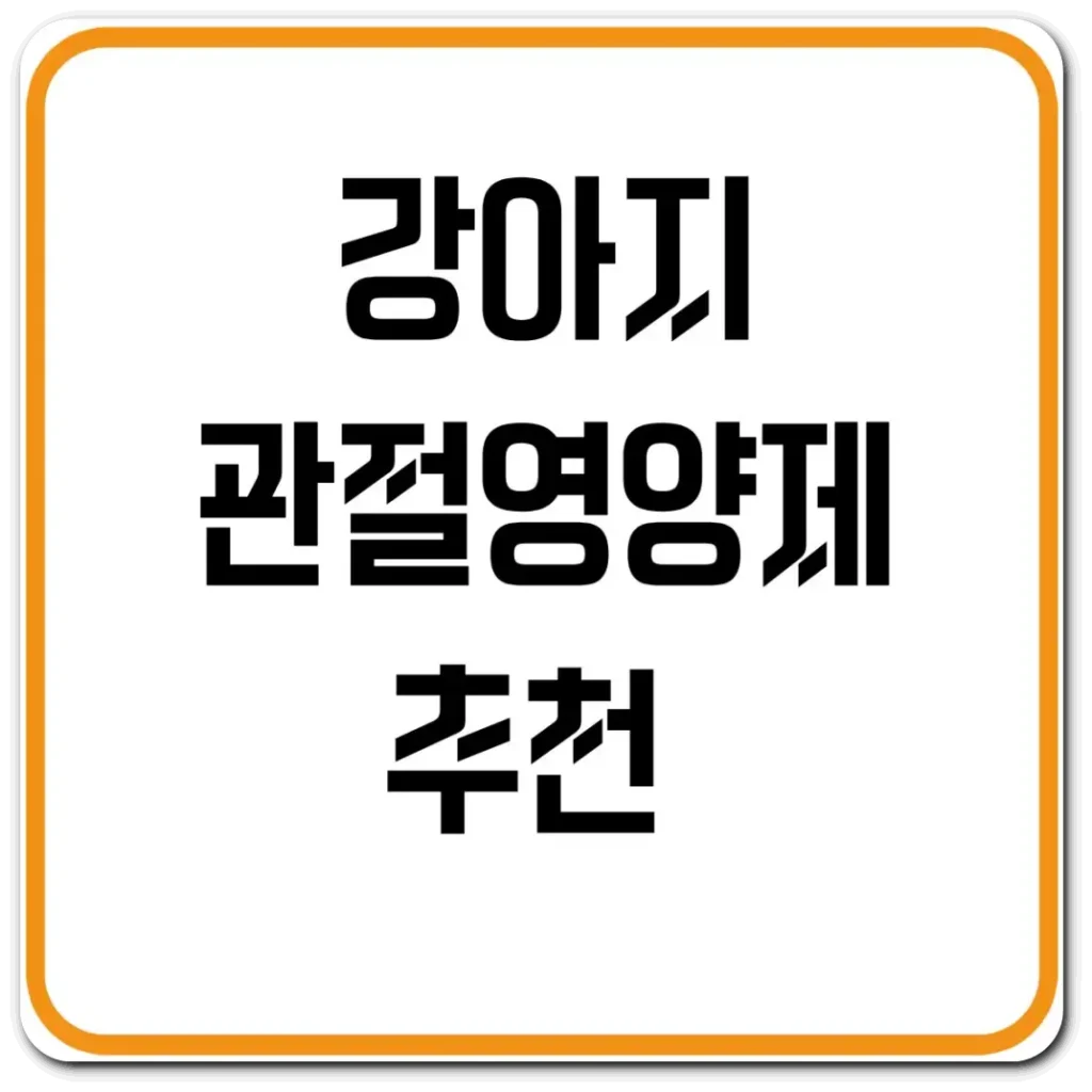 강아지-관절영양제-추천