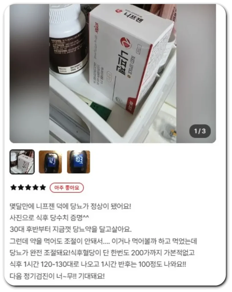니프젠후기