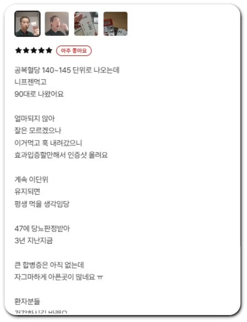 니프젠 후기